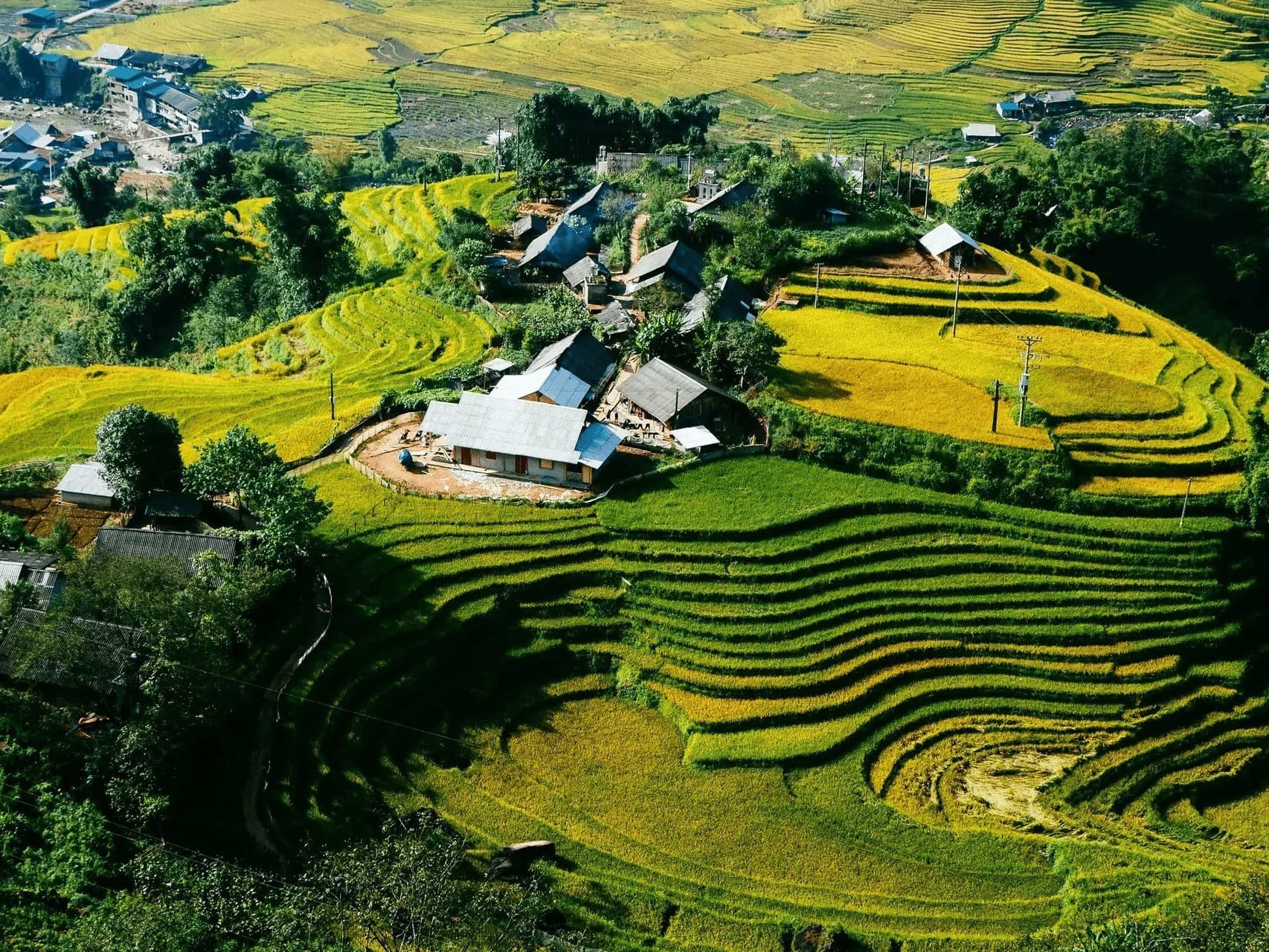 Aerial view of rice terraces in northern Vietnam