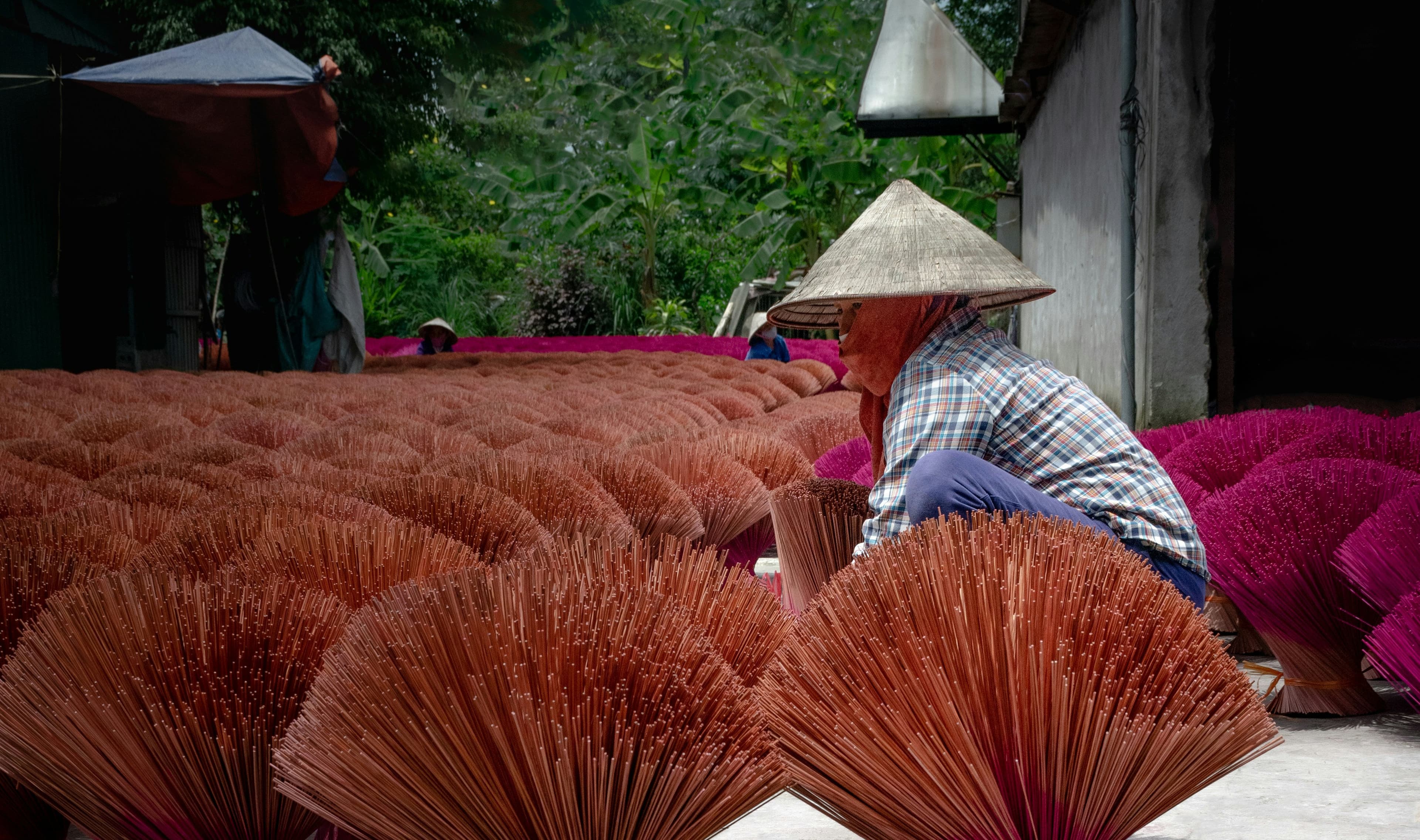 Vietnam Adventure - North to Central (6 Days) - Hanoi - Ha Long - Ninh Binh - Da Nang - Hoi An