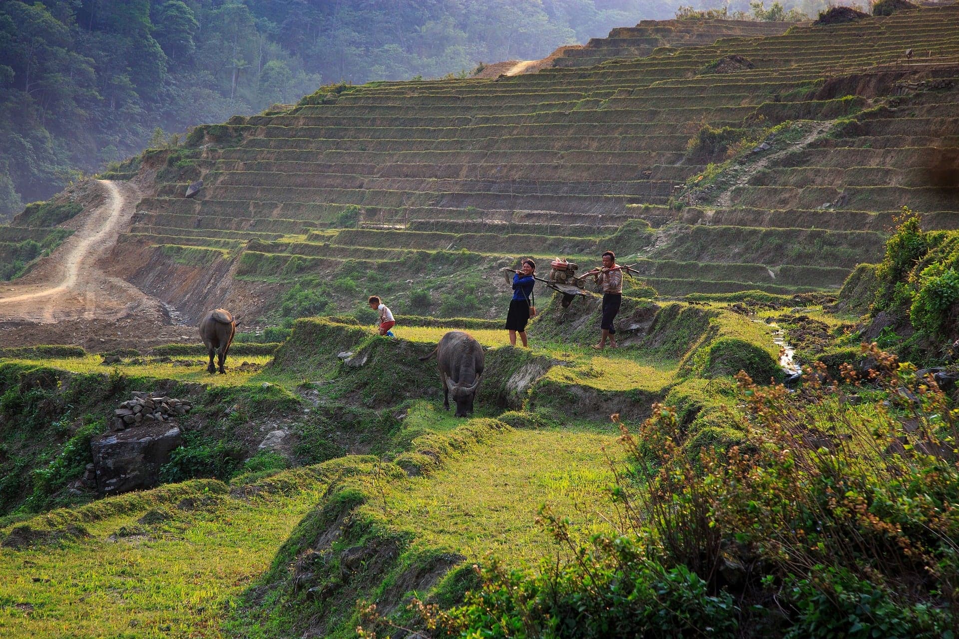 Northern Vietnam Mountain Leisure - 8 Days photo 3