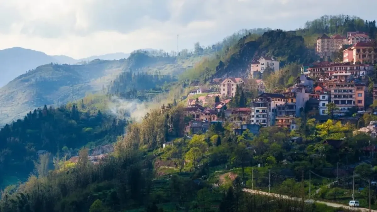 Sapa rice terraces