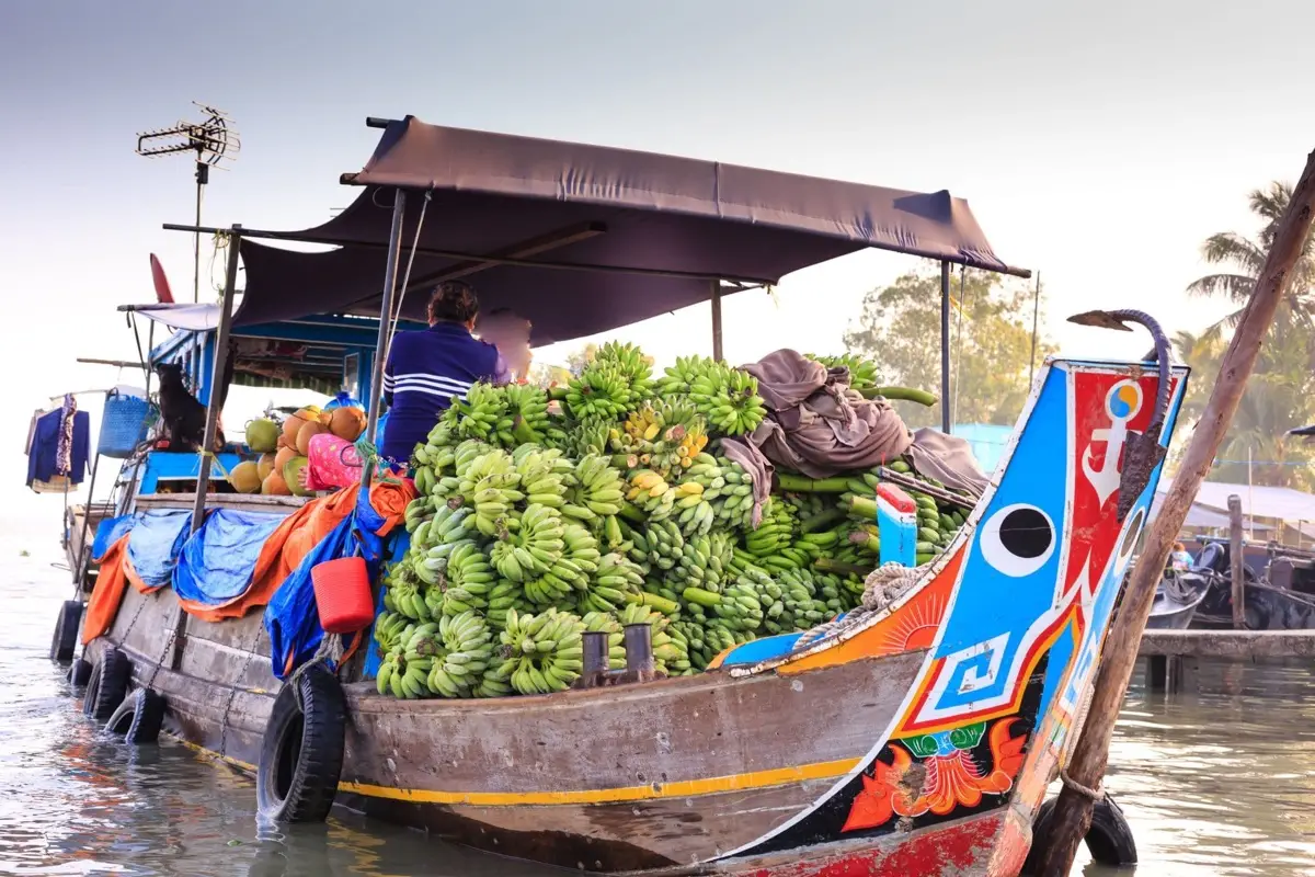 Floating markets and waterways of the Mekong Delta, southern Vietnam, photo 1