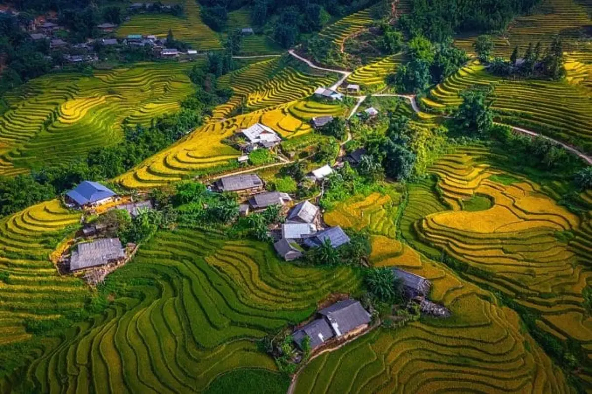 Rice terraces and hill-tribe villages in Sapa, northern Vietnam, photo 1