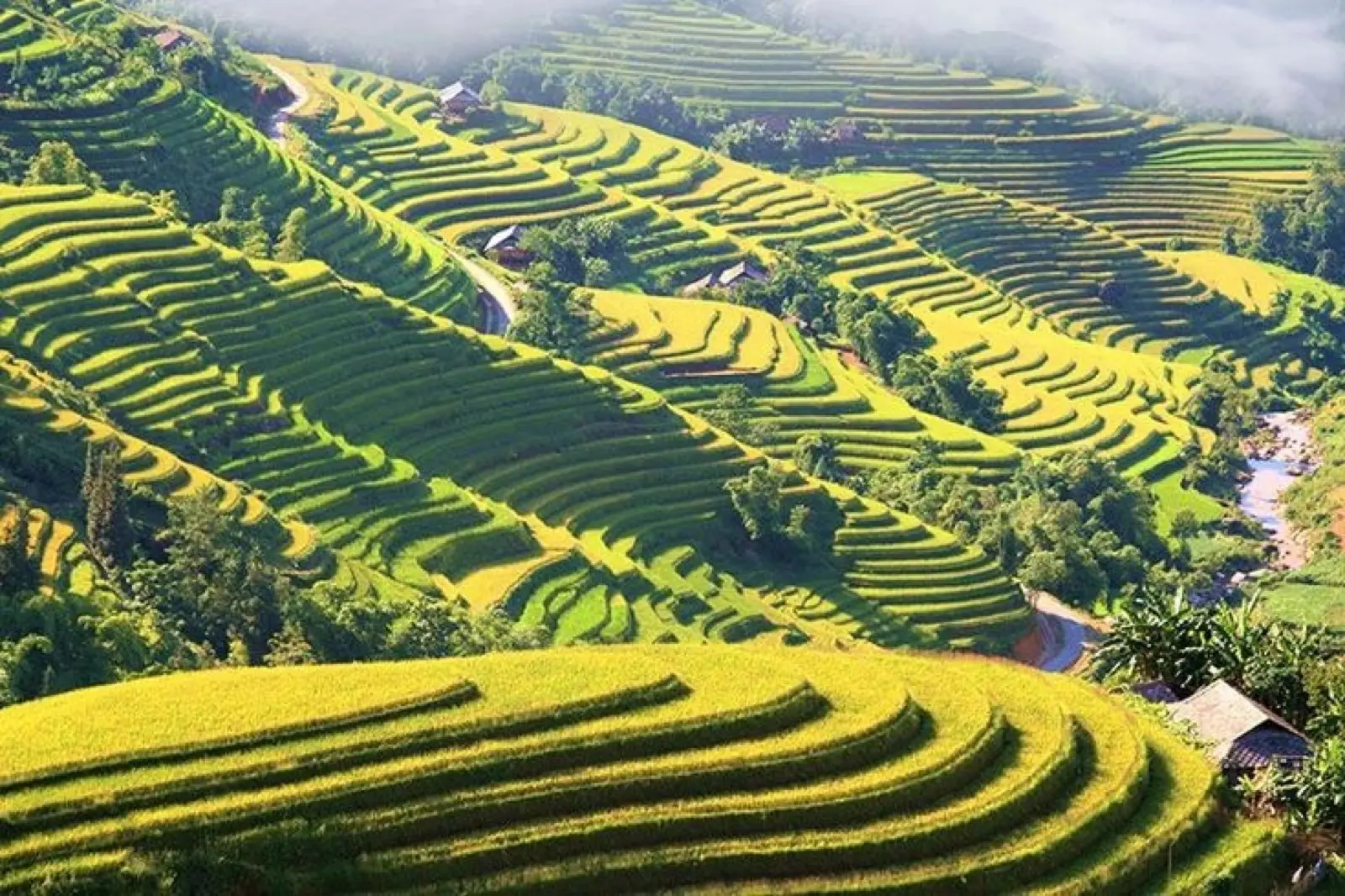 Rice terraces and hill-tribe villages in Sapa, northern Vietnam, photo 2