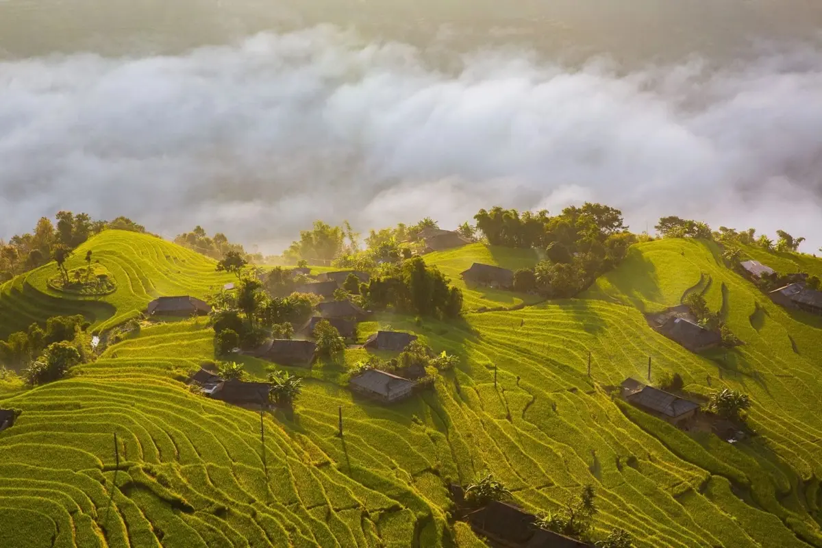 Rice terraces and hill-tribe villages in Sapa, northern Vietnam, photo 5