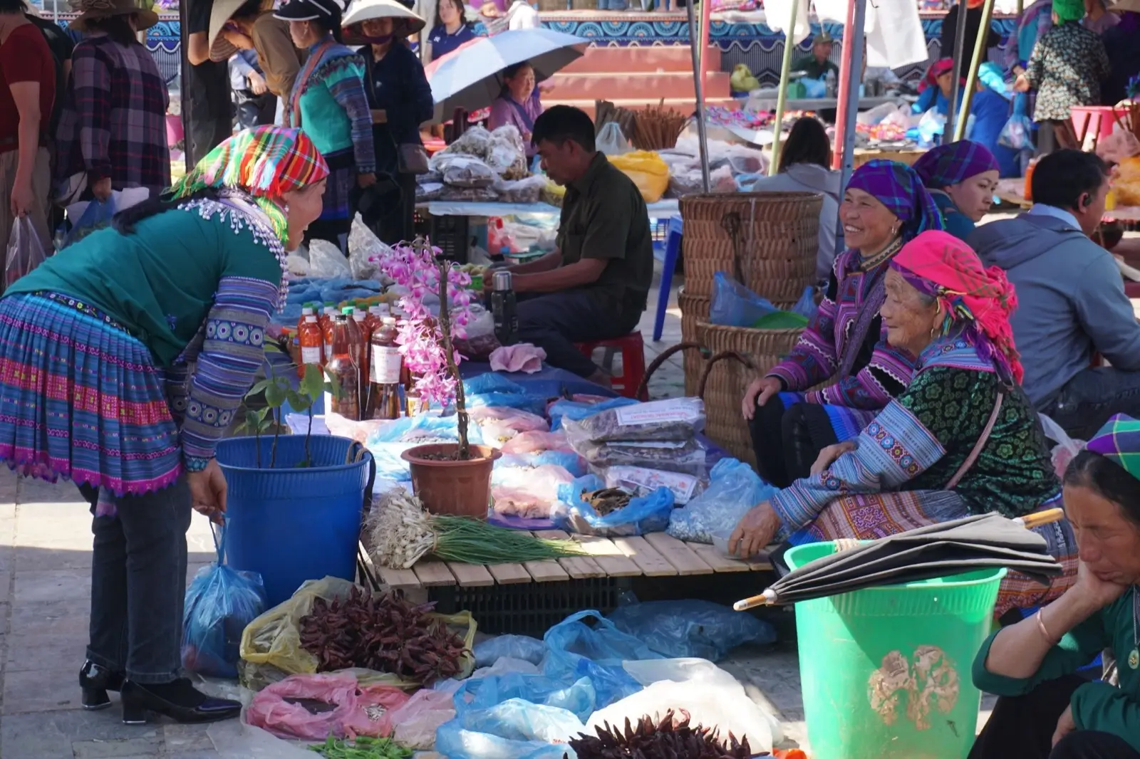 Mu Cang Chai, Bac Ha & Ha Long Bay - 7 Days, Multi-region, Vietnam, photo 1