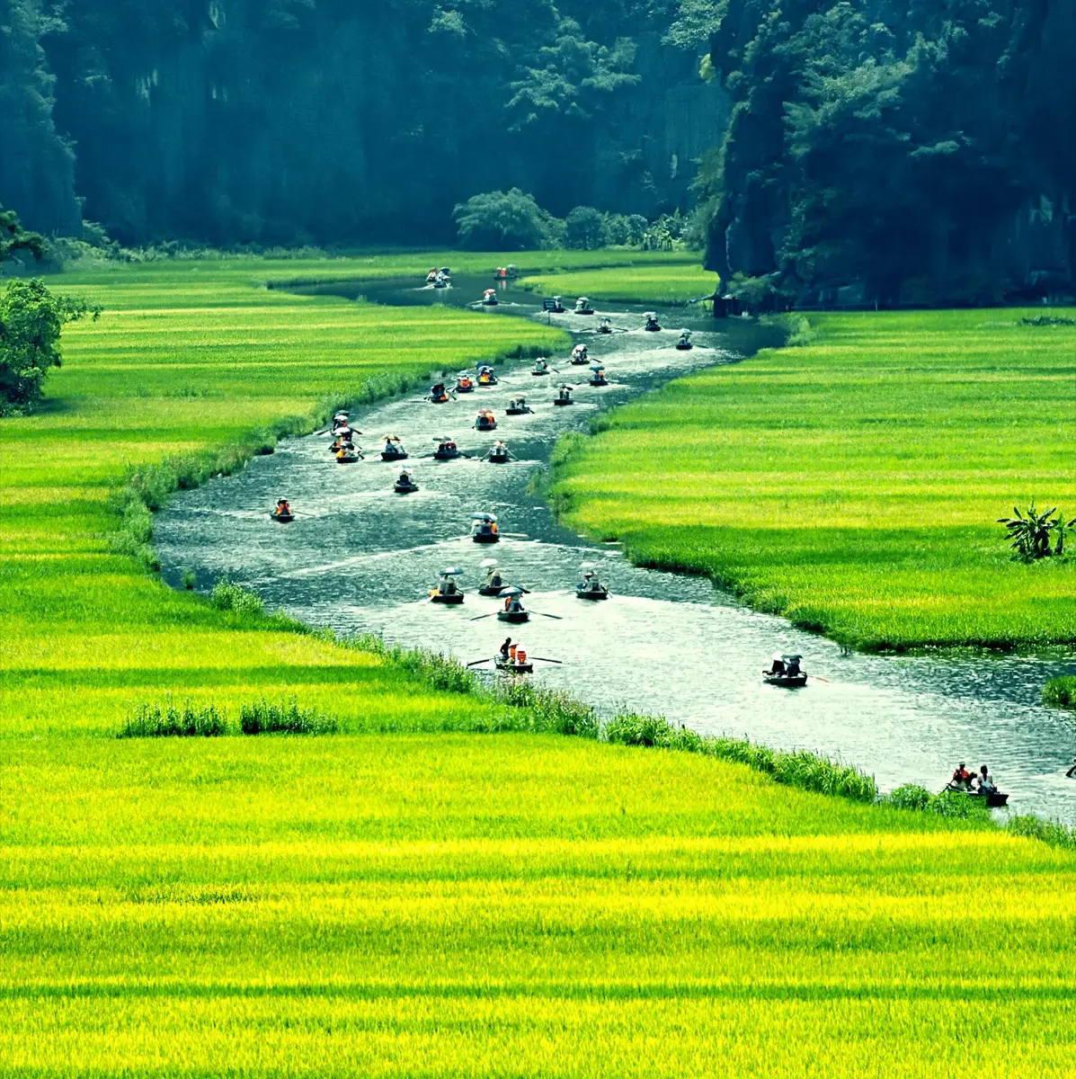 Ninh Binh & Tam Coc - 3 Days, Ninh Binh, Vietnam, photo 2 of 14