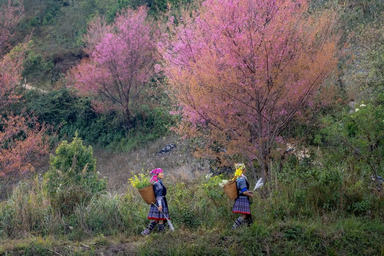 Sapa Authentic Gateway - 5 Days, Sapa, Vietnam, photo 1 of 19