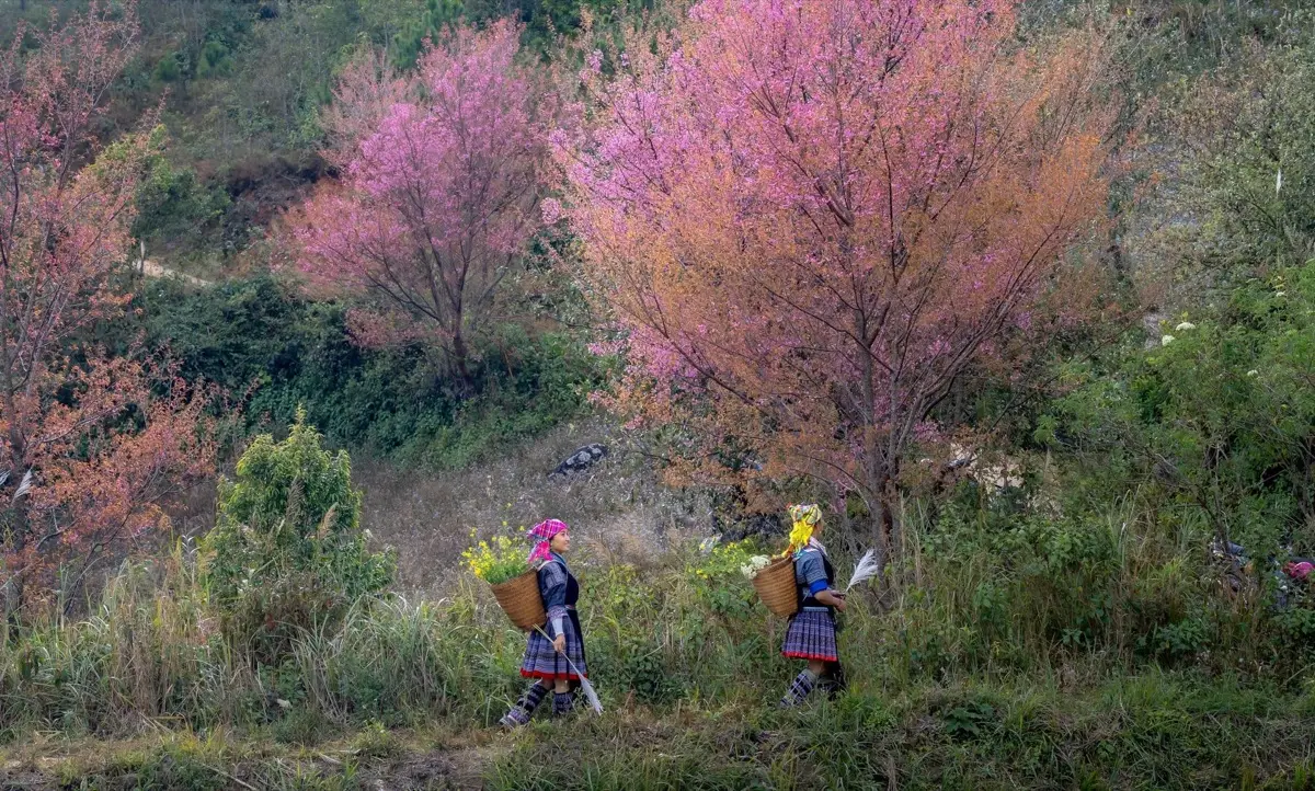 Sapa at Topas Ecolodge - 4 Days, Sapa, Vietnam, photo 3 of 15